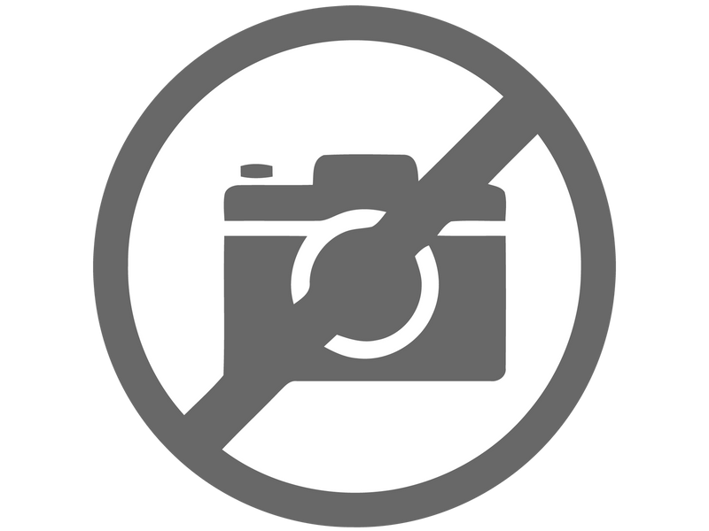 Flex Adapter VAG no coding